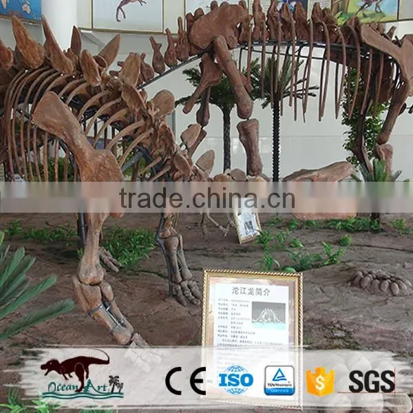 Museum Standard High Quality Dinosaur Skeleton photo-2