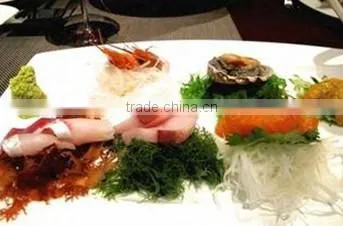 Wasabi Tube photo-4