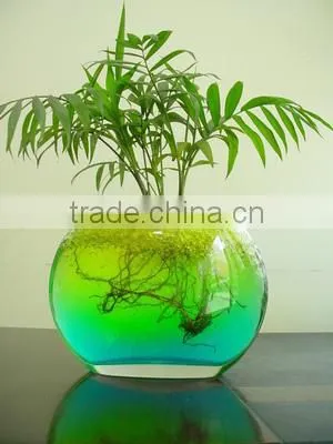 Garden Decoration Magic Water Beads for Lucky Bamboo photo-2