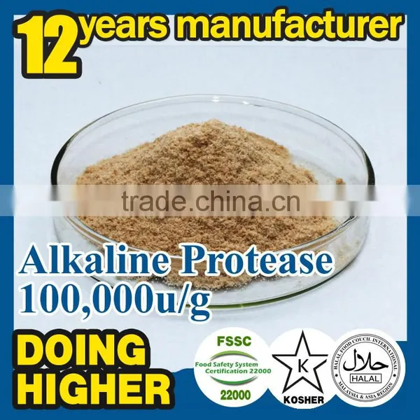 Alkaline Protease Apply to Membrane Washing Detergent Protease Alkaline Enzyme Washing Alkaline Enzyme