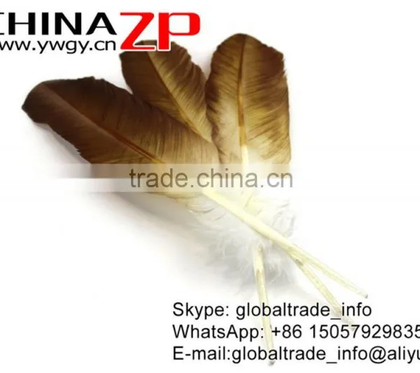Leading Supplier CHINAZP Wholesale Plume Dyed Bulk Gold Metallic Half Dipped Bicolourable Turkey Feathers photo-2
