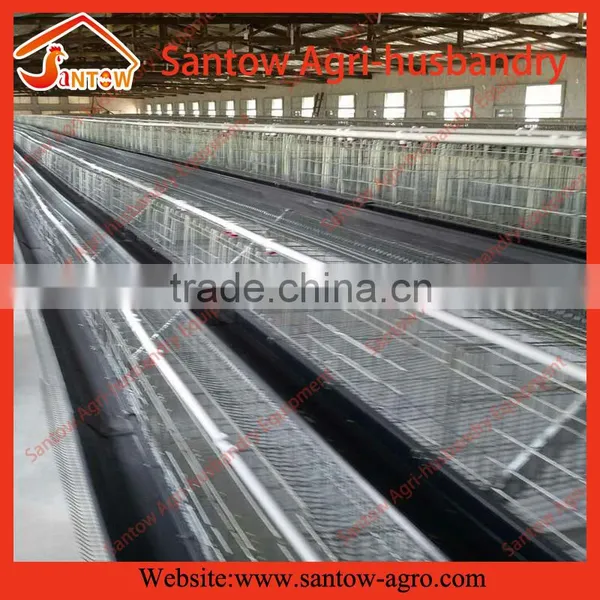 Battery Pullet Rearing Cage Poultry Equipment photo-2