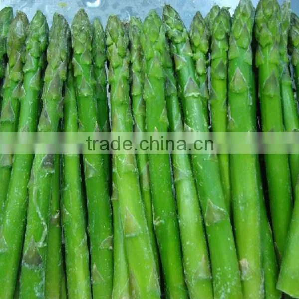 IQF Fresh Green Asparagus From China photo-6