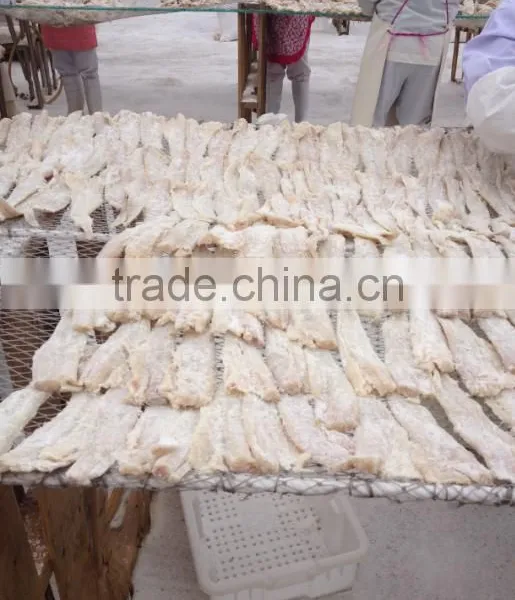 New Materails Dry Salted Pollock Fillet photo-3