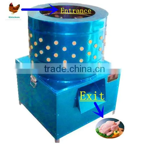 Factory Mid-year Promotional Wholesale Automatic Duck Plucker Machine photo-3