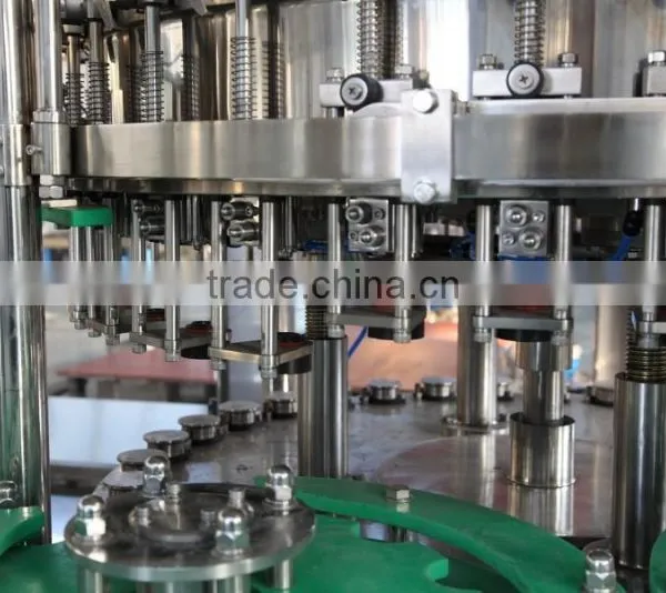 Glass Bottle Filling Machine/machinery/line/plant in Zhangjiagang photo-4