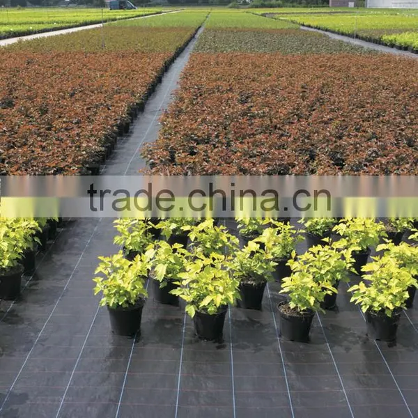 Weed Control Fabric pp Woven Weed Mat photo-2