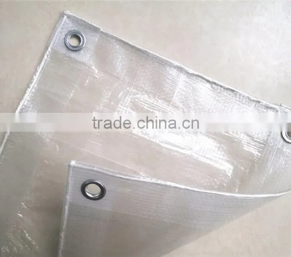China Supplier Transparent pe Tarpaulin, Greenhouse Tarpaulin, Waterproof Transparent Tarpaulin