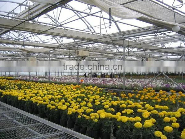 Flower Greenhouse photo-4