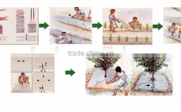 pp Non Woven Fabric Ground Cover photo-5