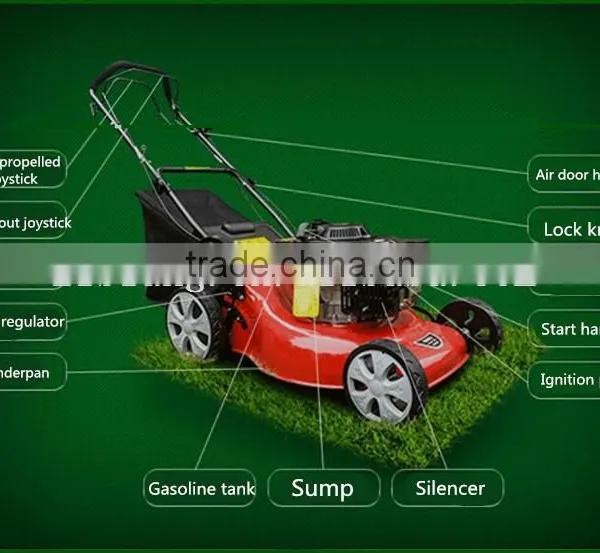 Hot Sale Large 50L Hand Push Ride on Mower photo-2