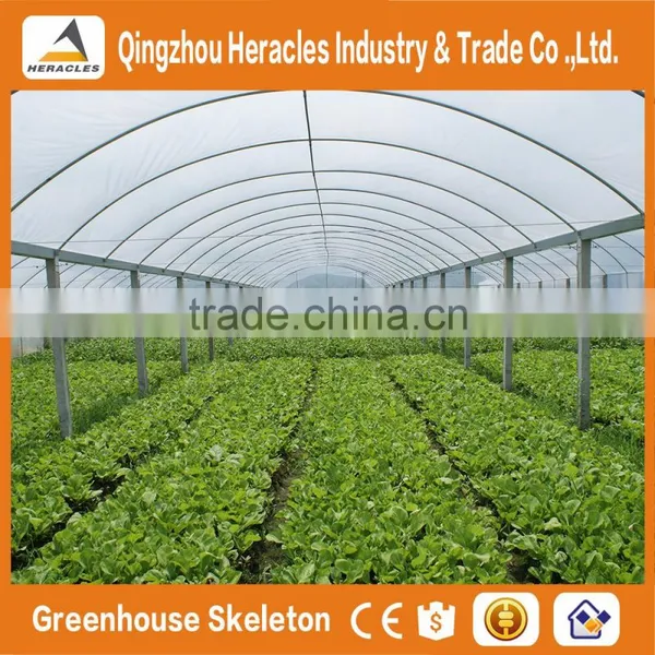 Heracles Trade Assurance Commercial Hydroponics Greenhouse photo-2