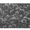 Sell Amorphous Graphite