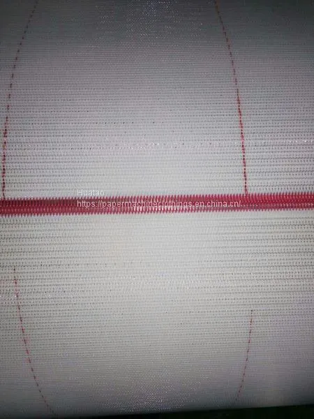 Polyester Spiral Dryer Screen photo-2
