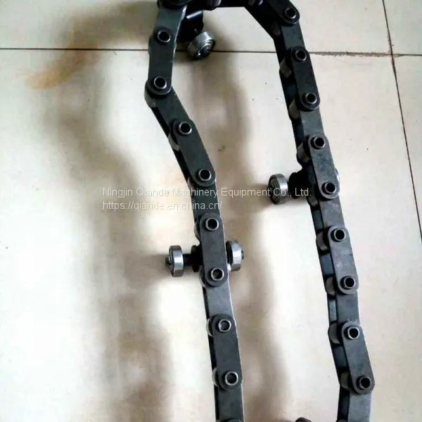 Ground Rail Transport Chain Manufacturer photo-5