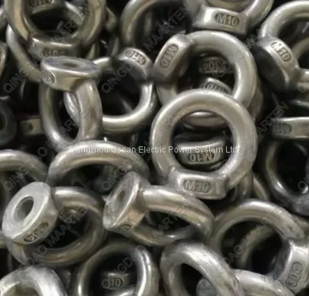 Eye Nut; Single Eye Nut; Double Eyes Nuts photo-4