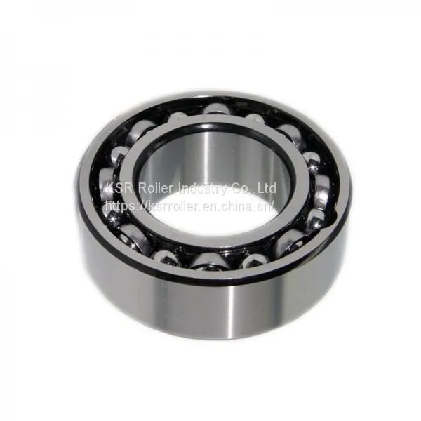 SKF Bearing