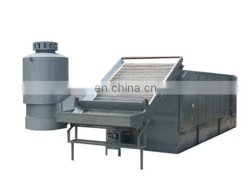 Dehydrated Red Onion Powder Processing Plant photo-4