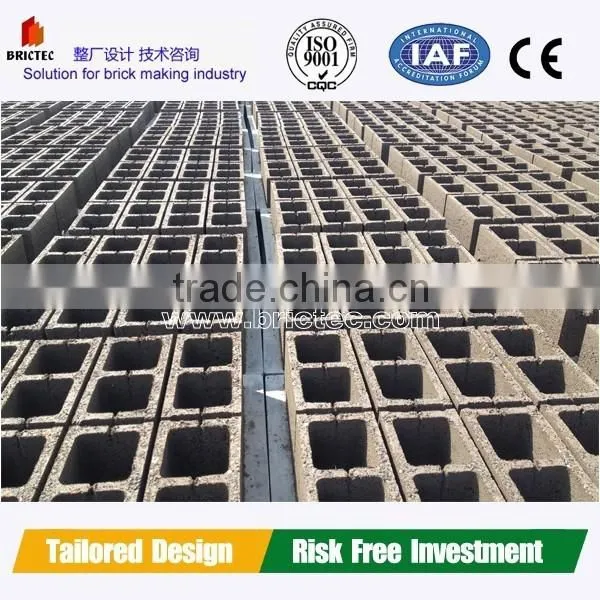 Cement Brick Making Shaft Mixer, Automatic Concrete Block Making Machinery photo-5