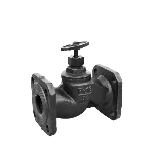 PN16 DN10-DN50 Cast Iron Inner Thread Type Stop Valve GOST Standard Screw Globe Valve photo-2