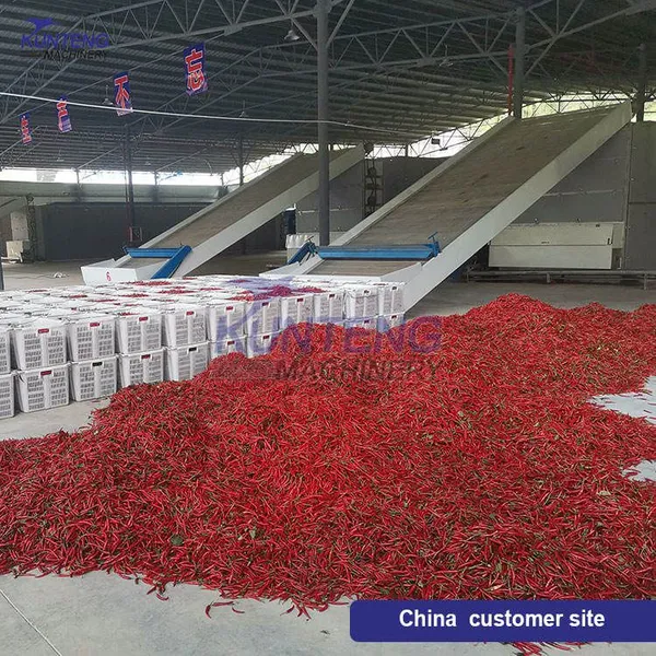 Large Industrial Red Chili Dehydrator Drying Vegetable Machine Fruit and Vegetable Drying Machine photo-5