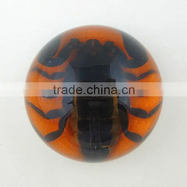 2016New Design Wholesale Paperweight With Real Insect photo-6