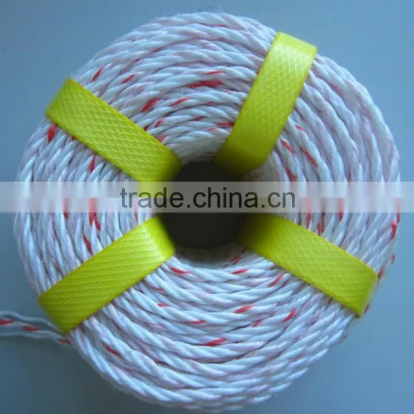 PP Danline Rope For Indonesia and Malaysia Market photo-3
