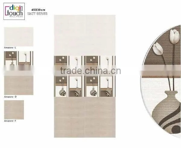 30 X 45 Bathroom Tiles photo-3