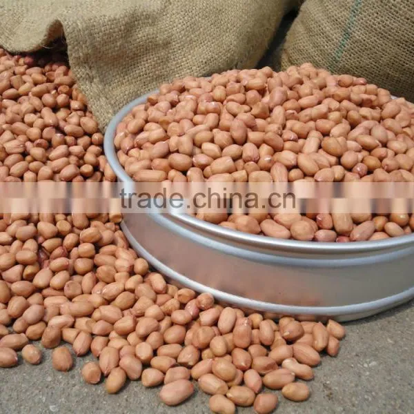 Best Selling Products New Wholesale Peanuts Raw Peanuts for Sale photo-5