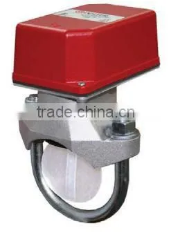 VSR Vane Type Water Flow Alarm Switch