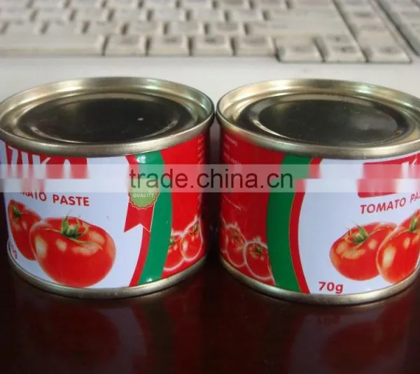 Safety And Hygiene 2200g Tomato Catsup of Brix 28-30% Sellerdom in Africa photo-5