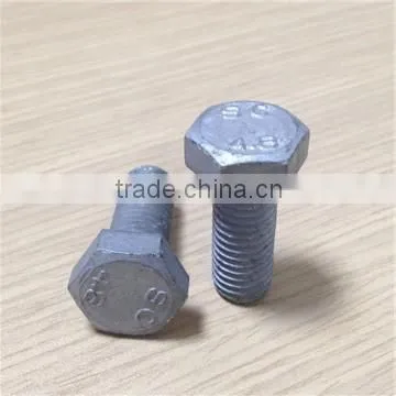 High Quality Hot Dip Galvanized Bolt photo-2