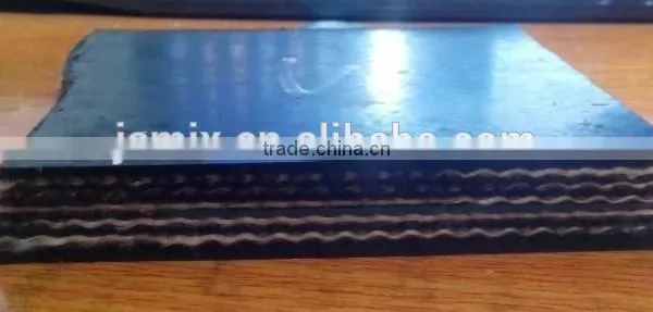 High Quality Convey Belt Conveying Equipment photo-2