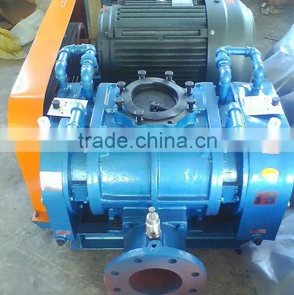 Side Channel Roots Blower