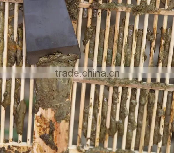 Crude Organic Propolis photo-4