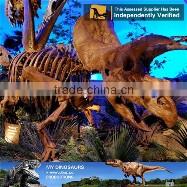 MY Dino-C087 Amusement Park Life Size Triceratops Skeleton photo-6