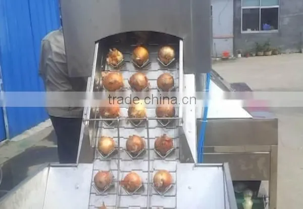 Three Belts Onion Peeling Machine/peeling Onion Machine/onion Stripper/onion Processing Machine photo-3