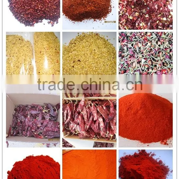 Paprika Seed photo-2