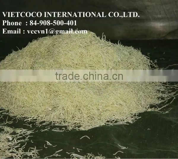 Dried Green Papaya photo-2