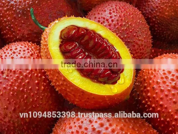 Gac Fruit Puree photo-6