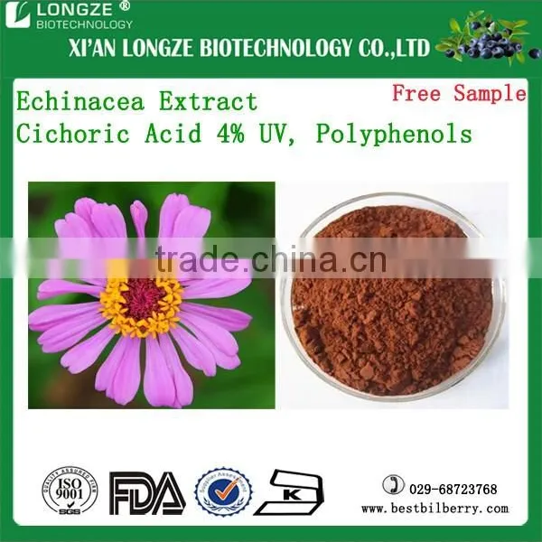 Natural Herb Extract Echinacea Extract