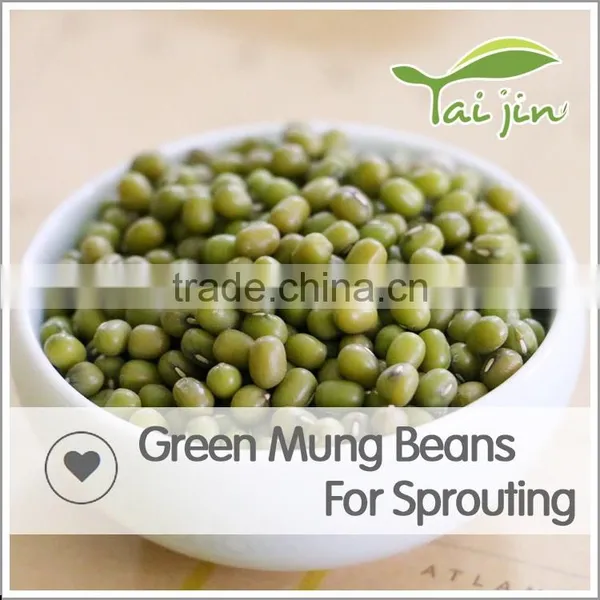 Export Various Green Mung Beans Specification ,grade a Green Mung Bean Sprout photo-2
