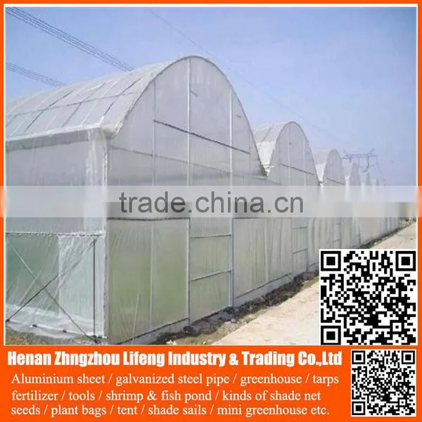 Plastic Agriculture pe Anti-insect Net , Hdpe Greenhouse Insect Net , Nylon Insect Net With Low Price photo-3
