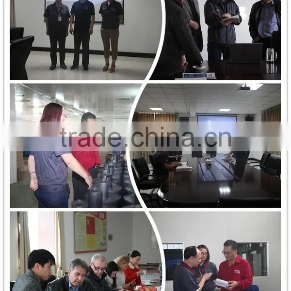 China Supplier DFFILTRI Steel Plate SP-06*25 Spin on Return Line Filter photo-2