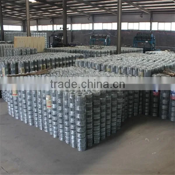 Cheap Animal Wire Mesh Fence for Sale (Big Factory in Anping) photo-2