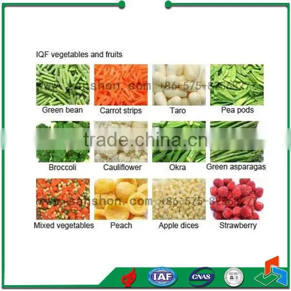 Quick-frozen Vegetable Production Line photo-5