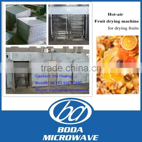 Hot Air Small Fruit Dryer photo-1