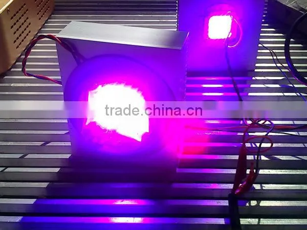 Shenzhen Factory Led Chip 20w Full Spectrum,lighting Diode 20w 100w photo-2