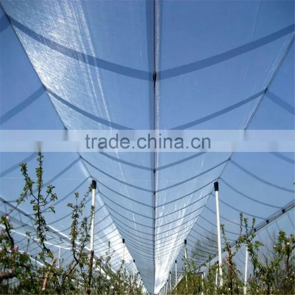 Quolity Cheapest HDPE Knitted White Apple Tree Anti Hail Net photo-6