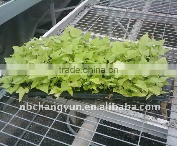 China Supplier Plant Growing Tray Seed Germination Tray for Greenhouse With Good Price photo-2